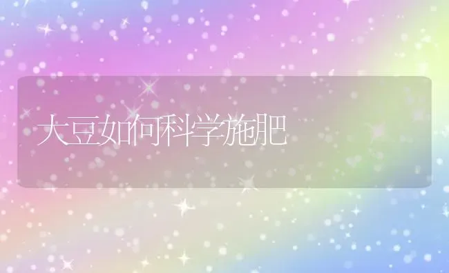 大豆如何科学施肥 | 粮油作物种植