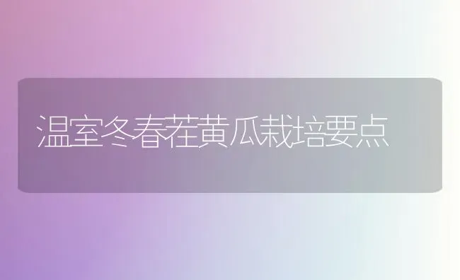 温室冬春茬黄瓜栽培要点 | 蔬菜种植