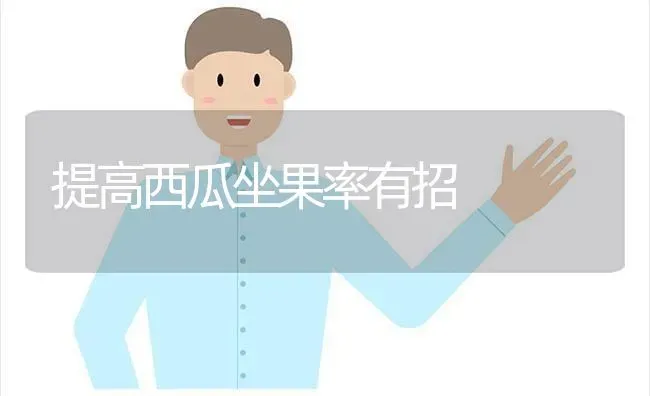 提高西瓜坐果率有招 | 瓜果种植