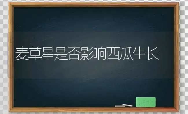 麦草星是否影响西瓜生长 | 瓜果种植