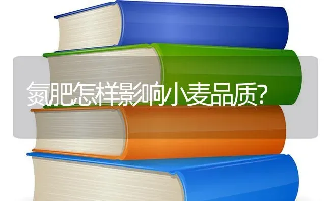 氮肥怎样影响小麦品质？ | 粮油作物种植