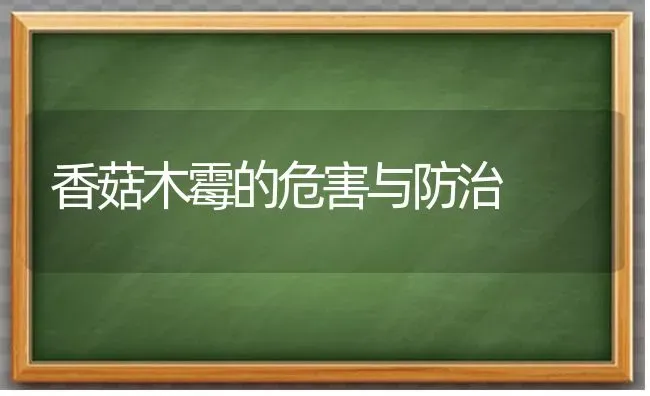 香菇木霉的危害与防治 | 食用菌种植