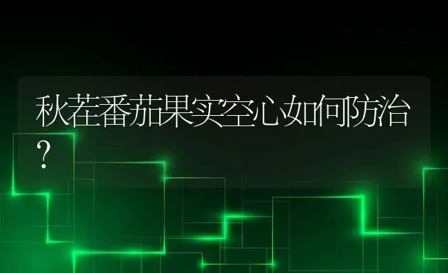 秋茬番茄果实空心如何防治？ | 瓜果种植