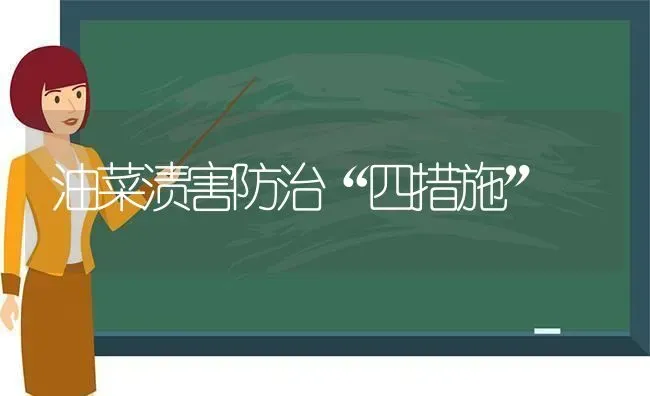 油菜渍害防治“四措施” | 粮油作物种植