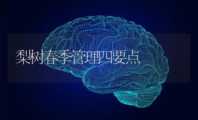 梨树春季管理四要点 | 瓜果种植