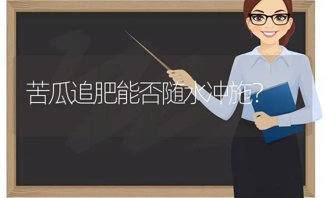 苦瓜追肥能否随水冲施？ | 蔬菜种植