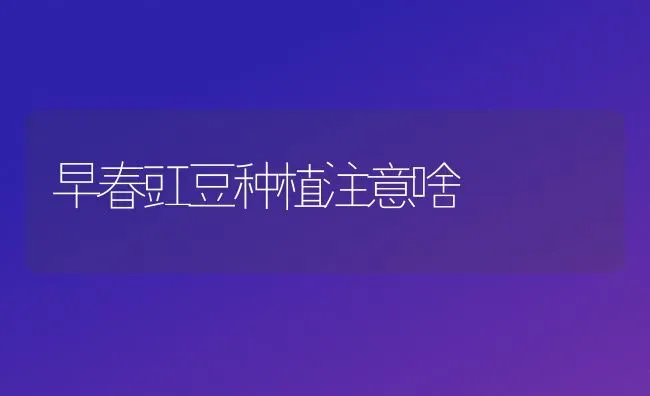 早春豇豆种植注意啥 | 植物种植百科