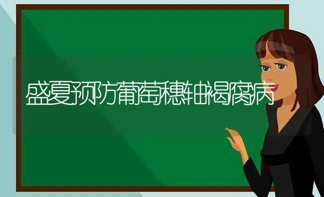 盛夏预防葡萄穗轴褐腐病 | 瓜果种植