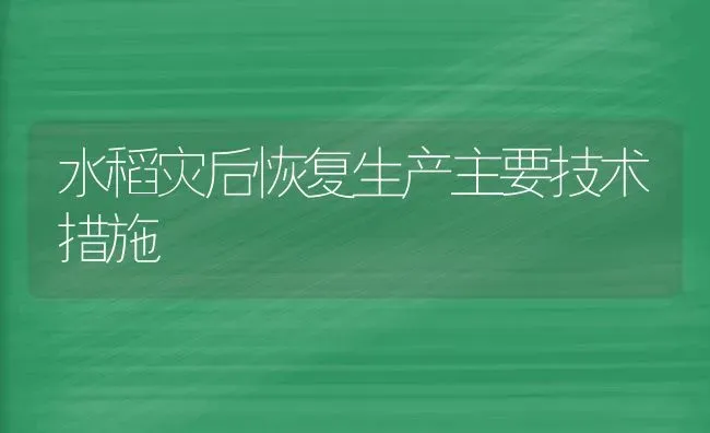 水稻灾后恢复生产主要技术措施 | 粮油作物种植