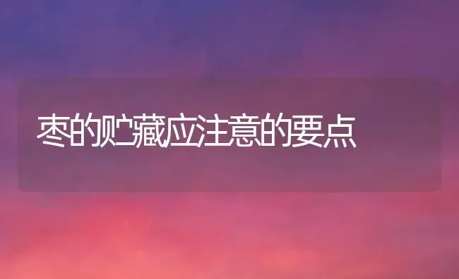 枣的贮藏应注意的要点 | 瓜果种植