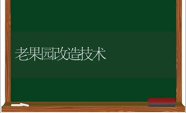 老果园改造技术 | 瓜果种植