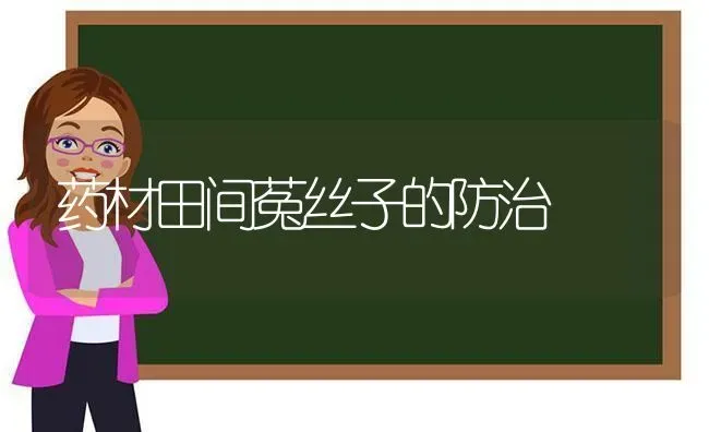 药材田间菟丝子的防治 | 药材种植