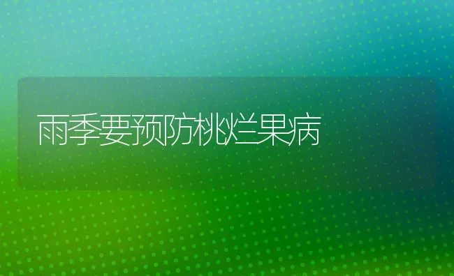 雨季要预防桃烂果病 | 瓜果种植