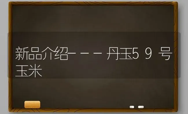 黄瓜霜霉病症状及防治措施 | 蔬菜种植