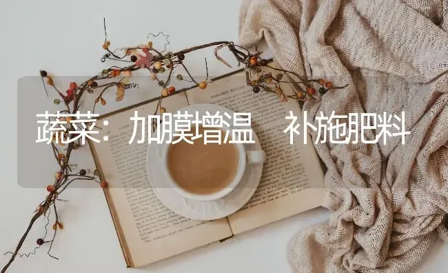 蔬菜：加膜增温 补施肥料 | 蔬菜种植
