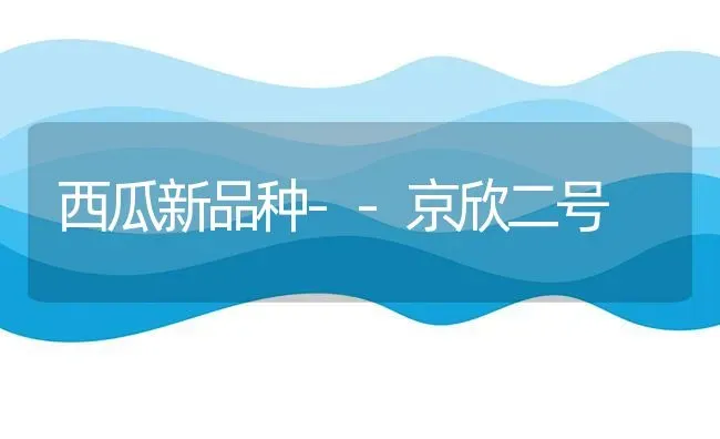 西瓜新品种--京欣二号 | 瓜果种植