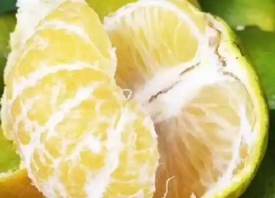 果实科普|皇帝柑吃了会不会上火 请问吃皇帝柑的好处与坏处