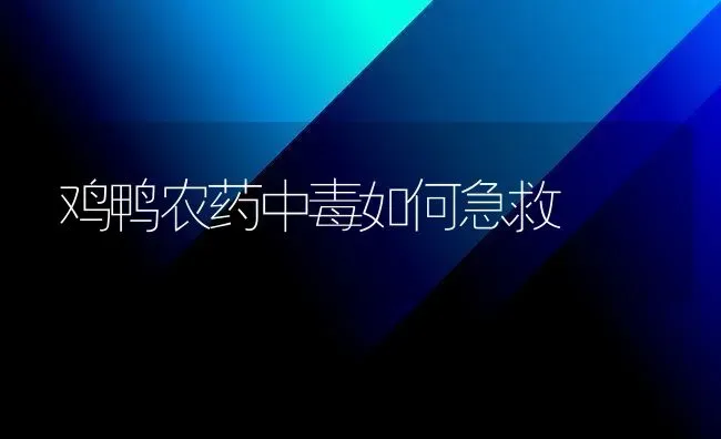 鸡鸭农药中毒如何急救 | 种植病虫害防治