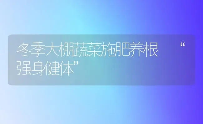 冬季大棚蔬菜施肥养根 “强身健体” | 蔬菜种植