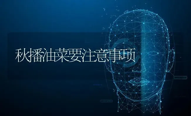 秋播油菜要注意事项 | 粮油作物种植