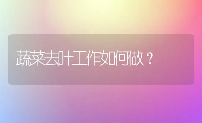 蔬菜去叶工作如何做？ | 蔬菜种植