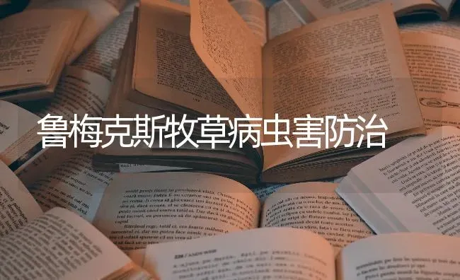 鲁梅克斯牧草病虫害防治 | 种植病虫害防治