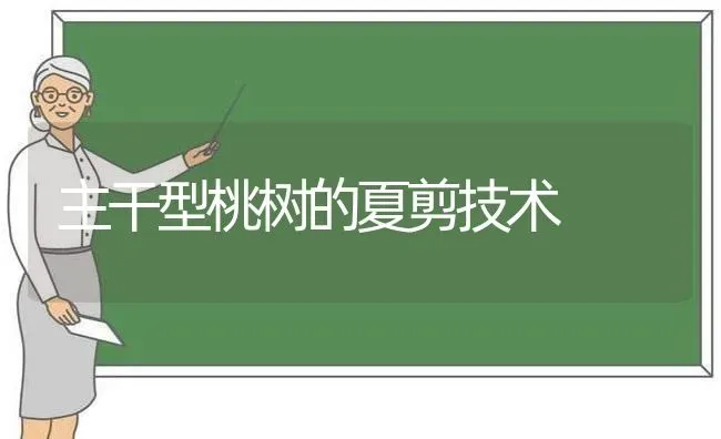 主干型桃树的夏剪技术 | 瓜果种植