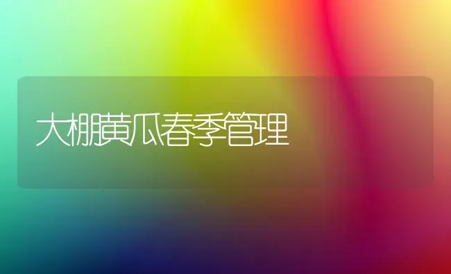 大棚黄瓜春季管理 | 蔬菜种植