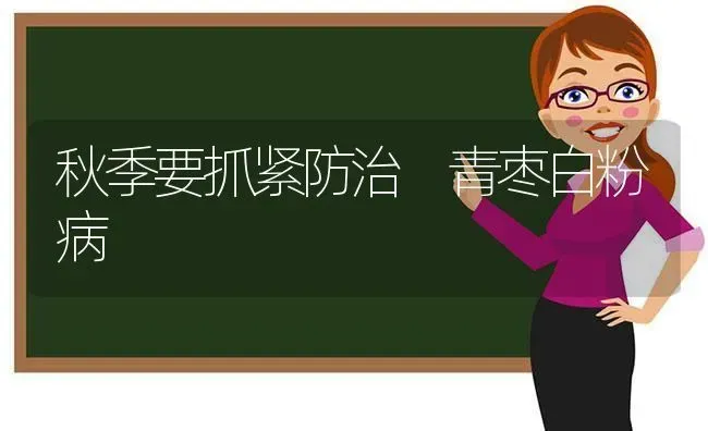秋季要抓紧防治 青枣白粉病 | 瓜果种植