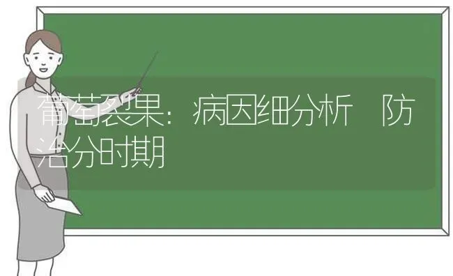 葡萄裂果：病因细分析 防治分时期 | 瓜果种植