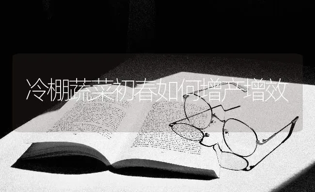 冷棚蔬菜初春如何增产增效 | 蔬菜种植