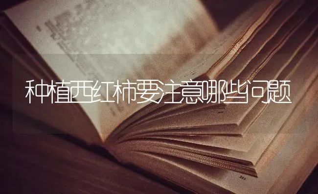 不同类型小麦播种温度要求 | 粮油作物种植
