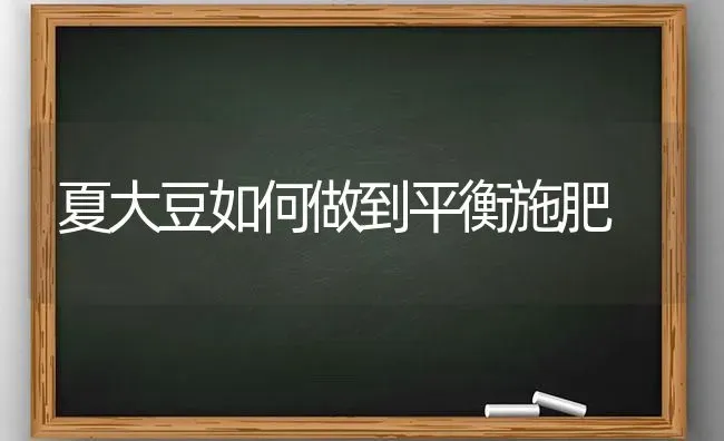 夏大豆如何做到平衡施肥 | 粮油作物种植