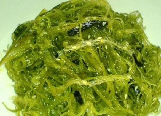 食用须知|裙带菜变黄了还能吃吗 放时间长了可以吃吗