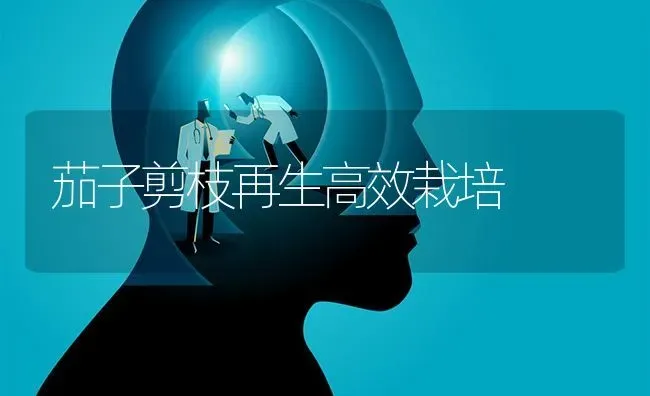 茄子剪枝再生高效栽培 | 蔬菜种植