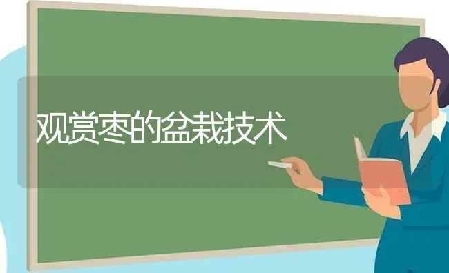 观赏枣的盆栽技术 | 瓜果种植