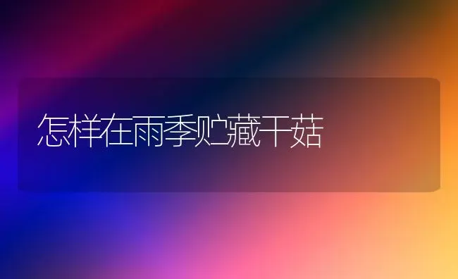 怎样在雨季贮藏干菇 | 食用菌种植