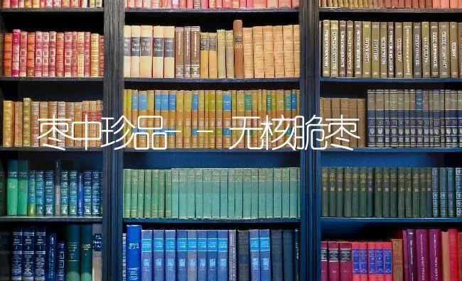 枣中珍品--无核脆枣 | 瓜果种植