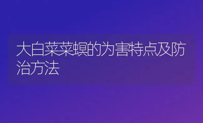 大白菜菜螟的为害特点及防治方法 | 蔬菜种植