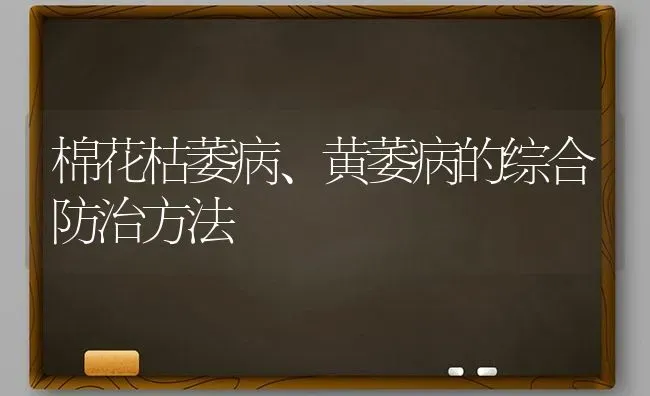 棉花枯萎病、黄萎病的综合防治方法 | 粮油作物种植