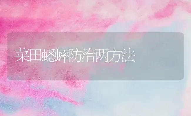 菜田蟋蟀防治两方法 | 蔬菜种植