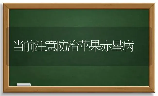 当前注意防治苹果赤星病 | 瓜果种植