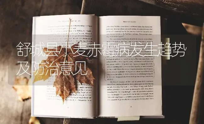 舒城县小麦赤霉病发生趋势及防治意见 | 粮油作物种植