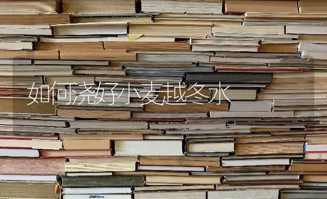 如何浇好小麦越冬水 | 粮油作物种植