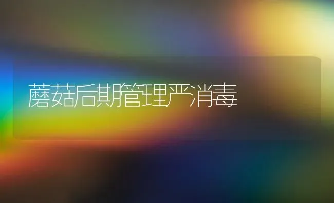 蘑菇后期管理严消毒 | 食用菌种植
