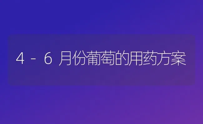 4-6月份葡萄的用药方案 | 瓜果种植