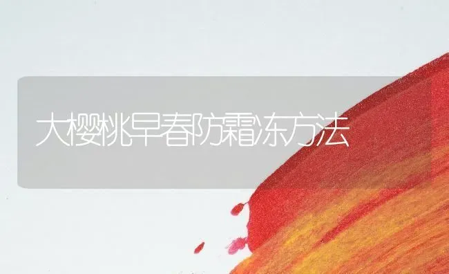 大樱桃早春防霜冻方法 | 瓜果种植