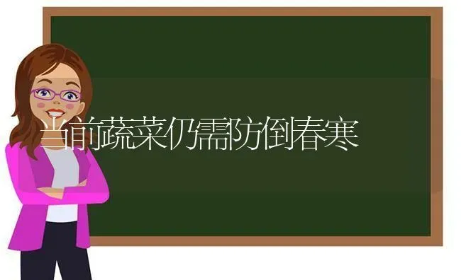 当前蔬菜仍需防倒春寒 | 蔬菜种植