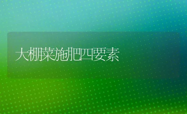 大棚菜施肥四要素 | 种植肥料施肥