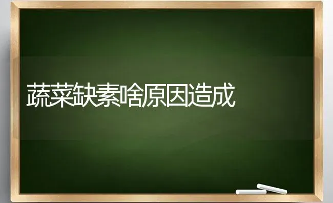 蔬菜缺素啥原因造成 | 蔬菜种植